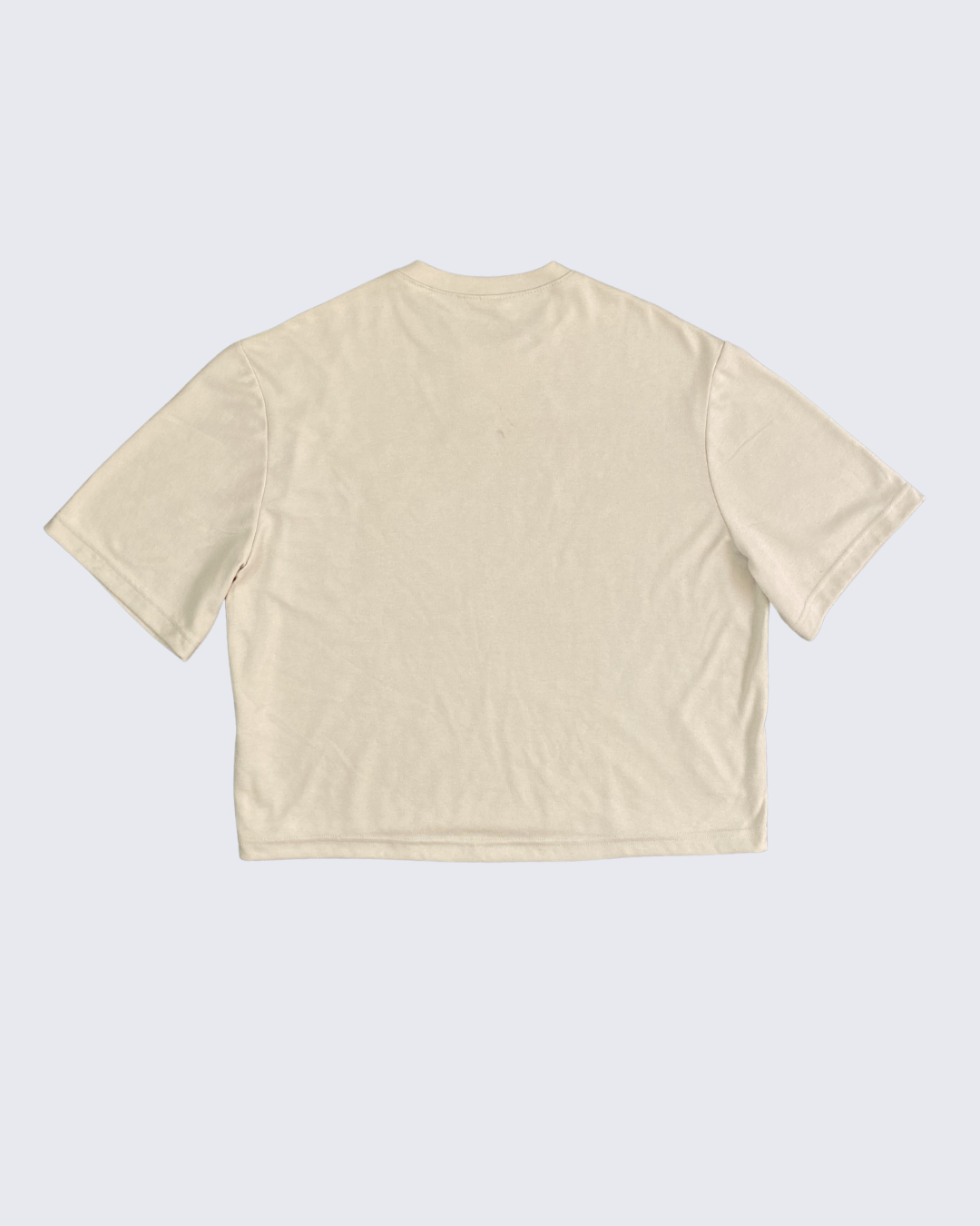 CAMISETA RICH IN ENERGY -  CAQUI